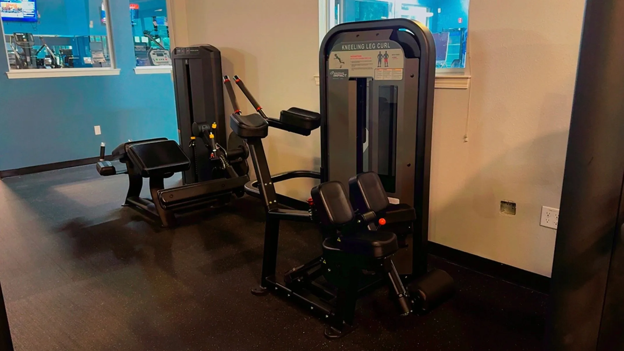 Selectorized strength machines including a seated leg curl at Elite Fitness Dixon