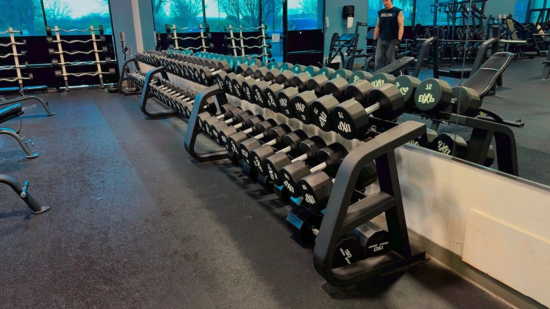 Rack of dumbbells along the free-weight area at Elite Fitness Dixon