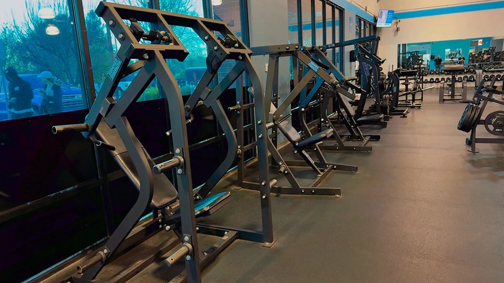 Plate-loaded machines beside the windows on the main floor at Elite Fitness Dixon